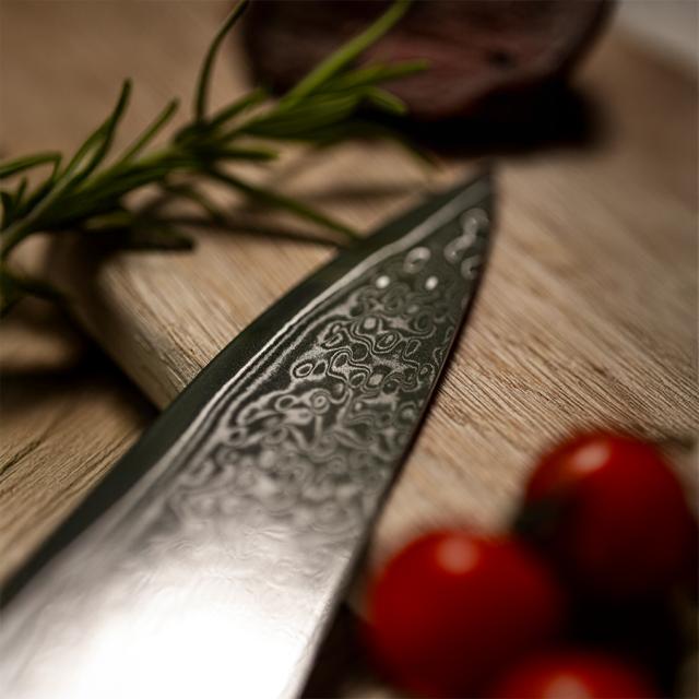 Damascus by hâws knivsæt – 6 dele, G10